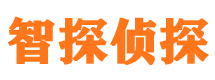 登封外遇出轨调查取证